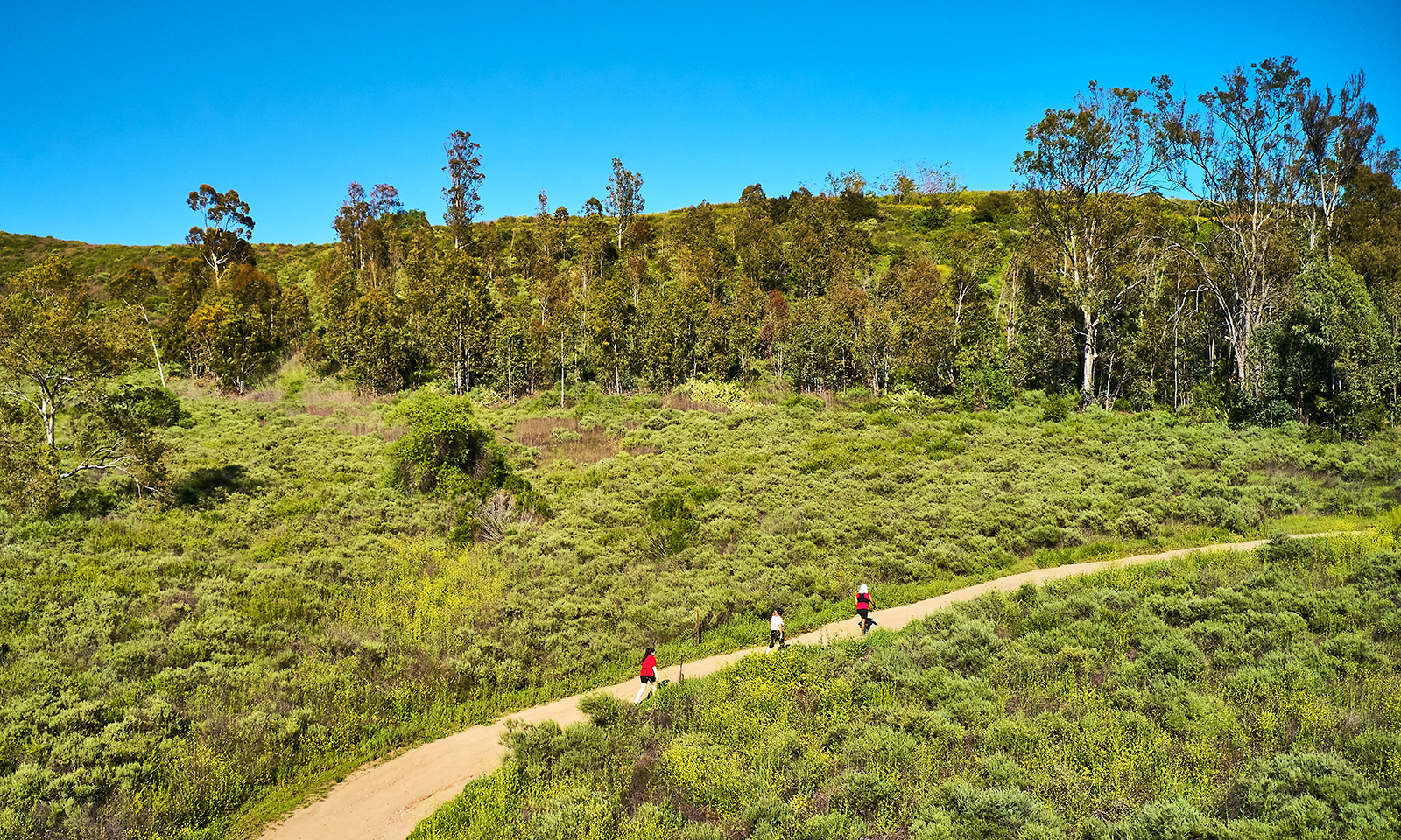 Get 10,000 steps and soothe your senses at Peters Canyon